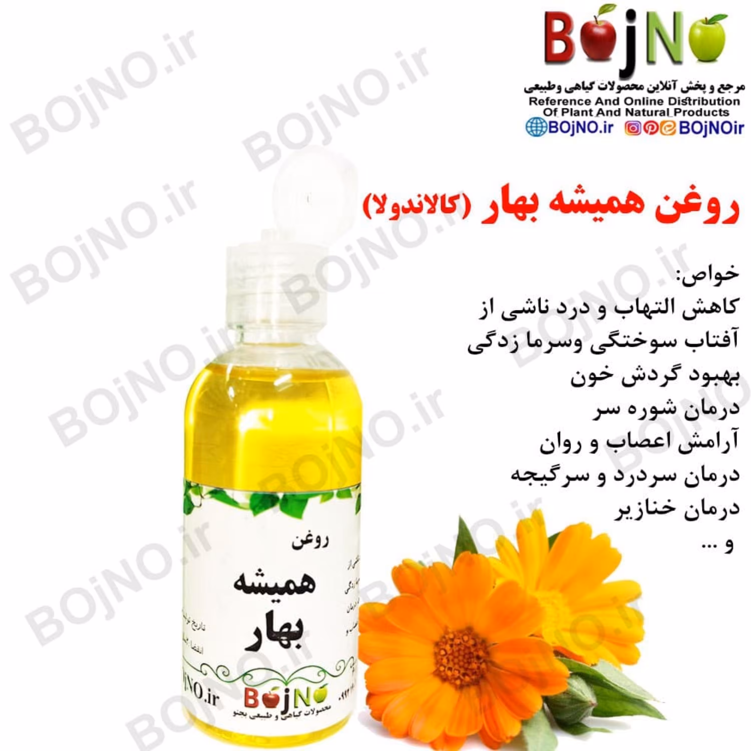 روغن همیشه بهار طبیعی (روغن کالاندولا)