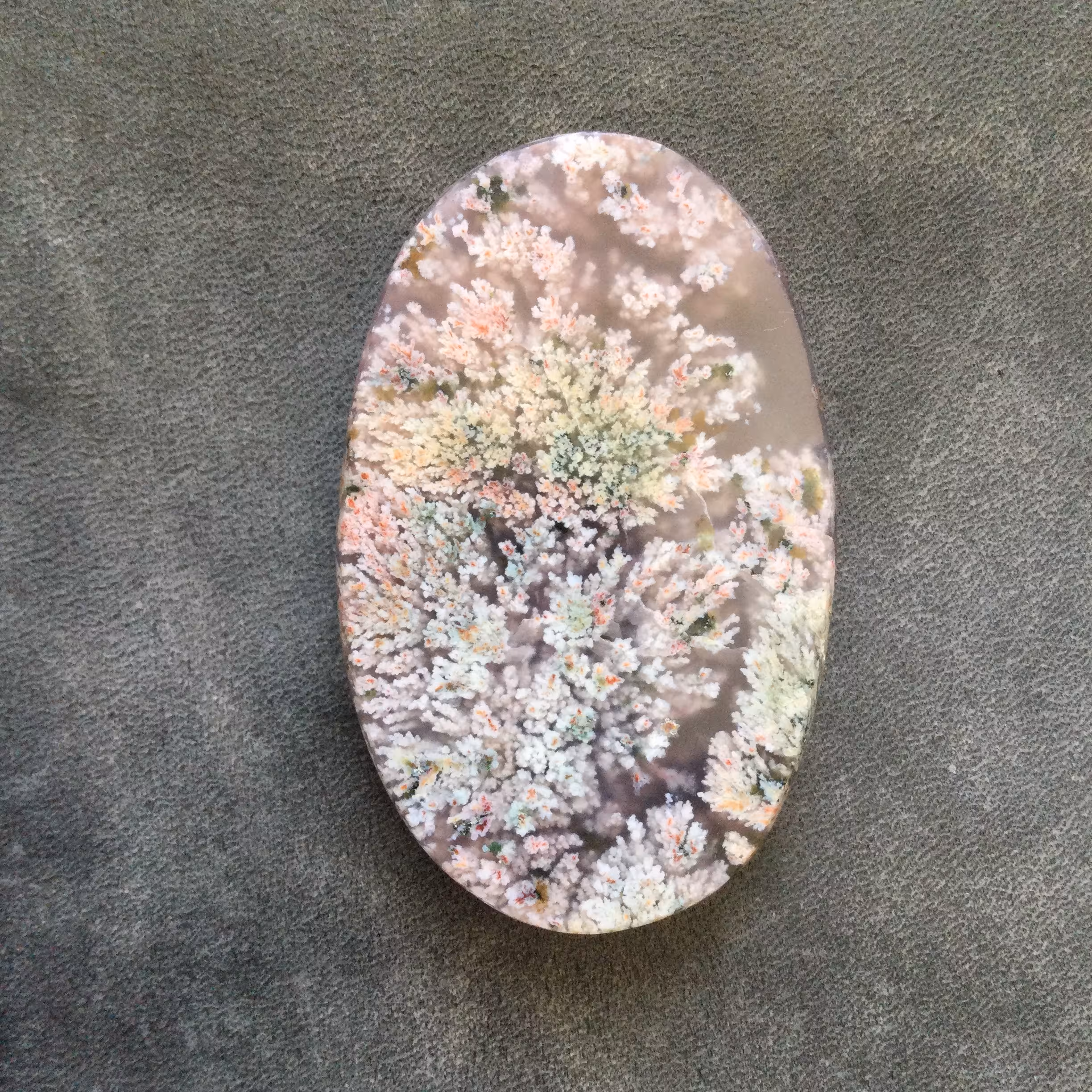 شجر هفت رنگ فردوس کلکسیونی