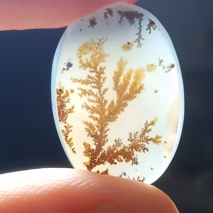 نگین کلکسیونی شجر یمنی با نقش علی کاملا طبیعی و خاص 