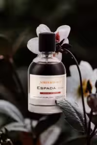 نورث ریپابلیک ( مردانه) SPADA