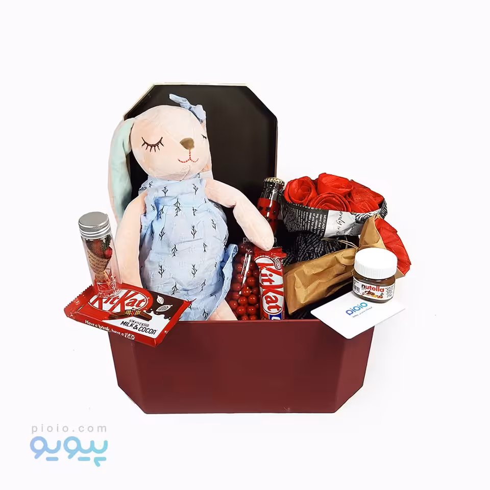 هدیه ولنتاین با عروسک خرگوش خوابیده