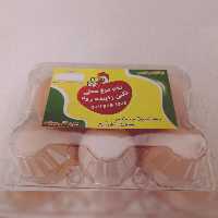 تخمرغ محلی نژاد گلپایگانی