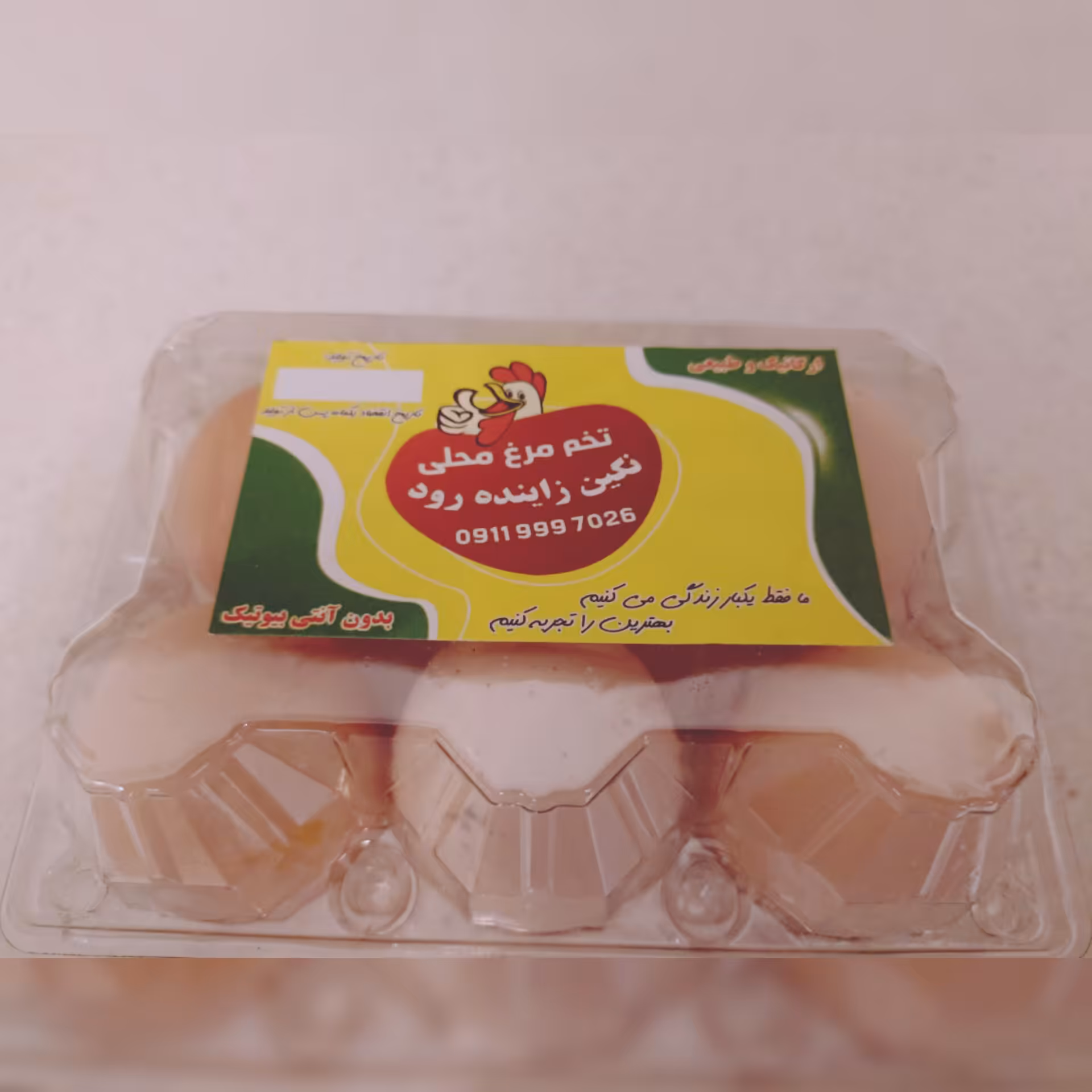 تخمرغ محلی نژاد گلپایگانی