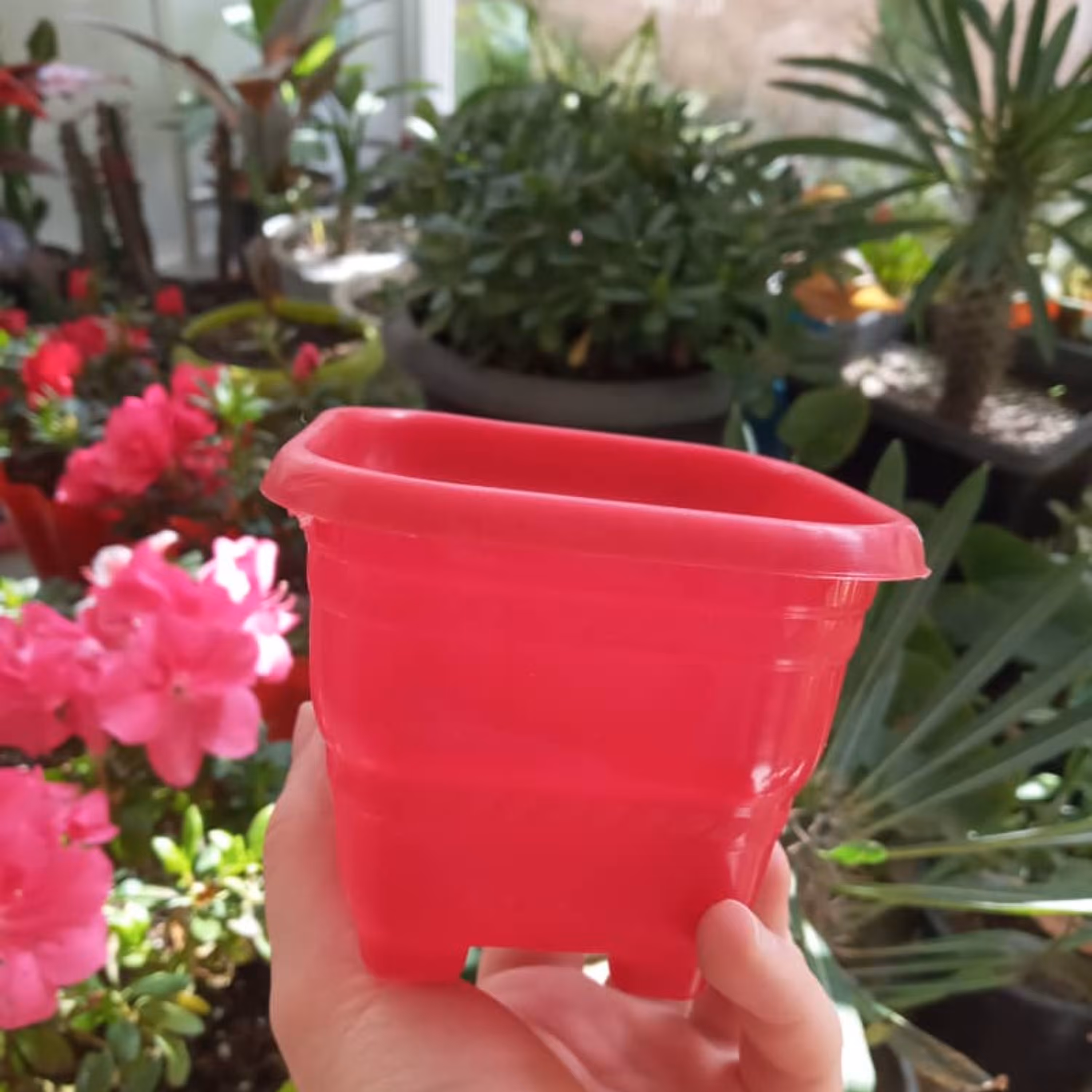 پک سه تایی گلدان