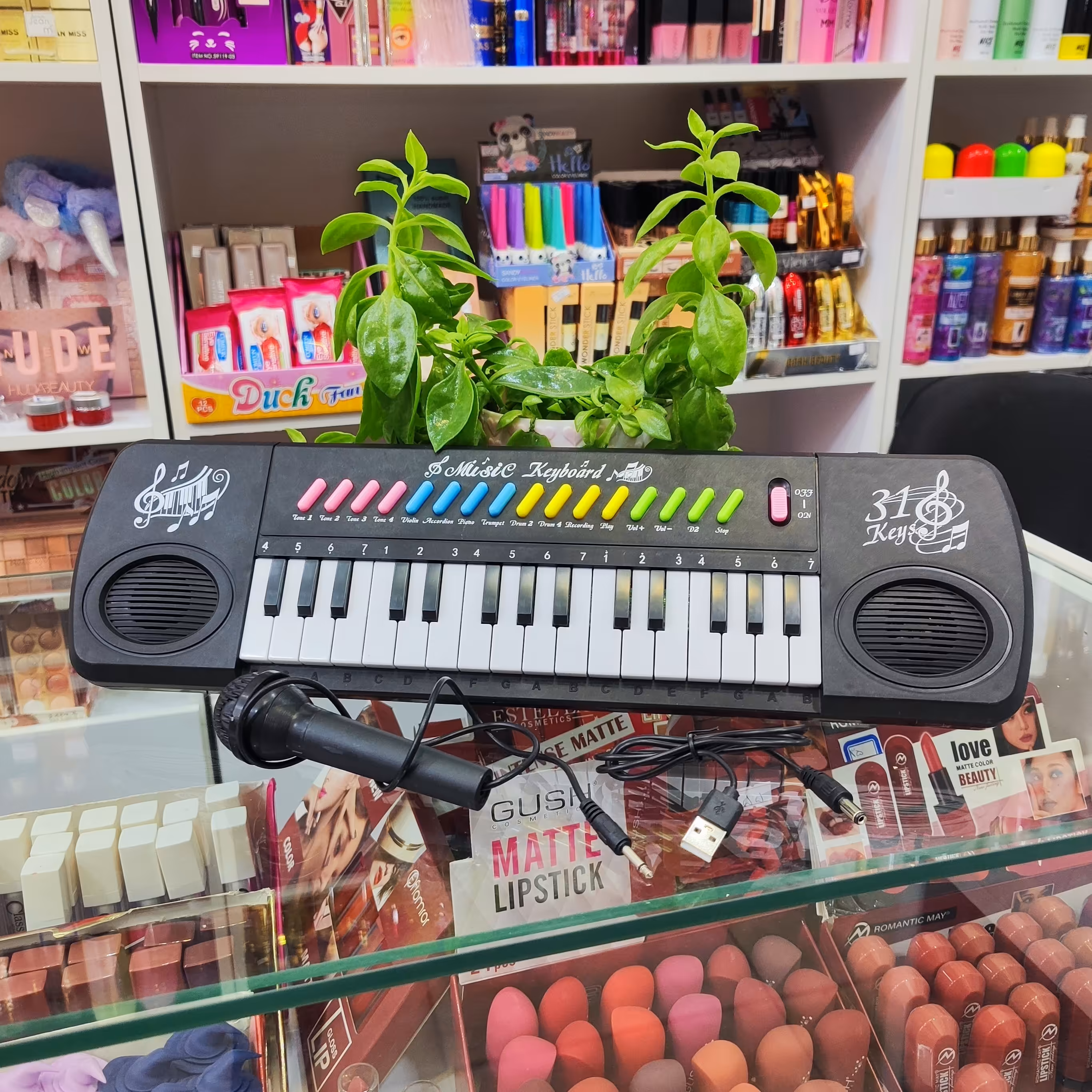 ارگ شارژی میکروفون دار 31کلیده