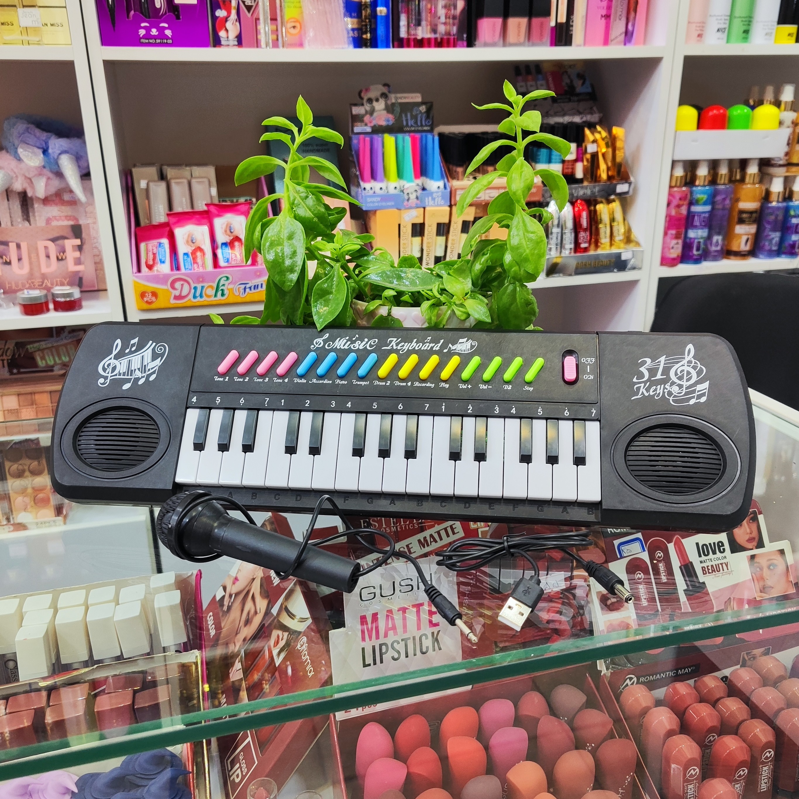 ارگ شارژی میکروفون دار 31کلیده