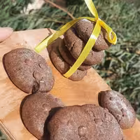 کوکی شکلاتی وکشمش