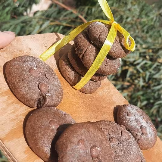 کوکی شکلاتی وکشمش