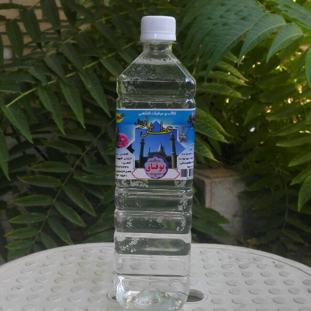 عرق بوقناق