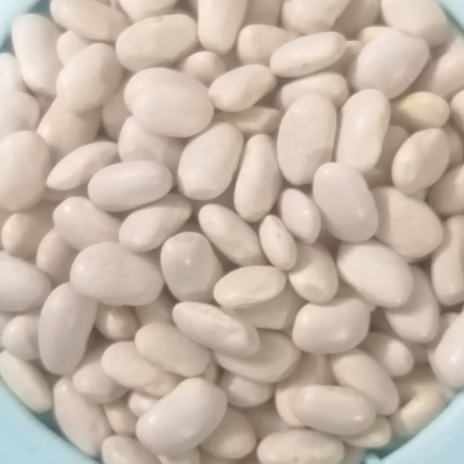 لوبیا سفید دستچین