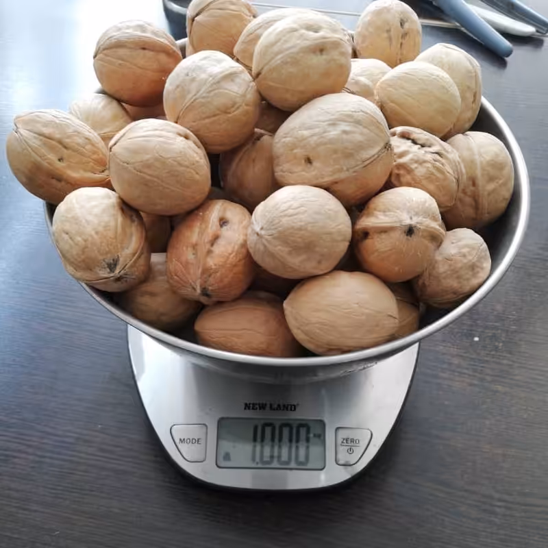 گردو چین ارسال رایگان 