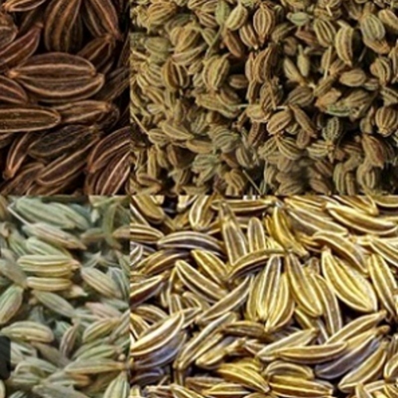 چهار زیره معده اعلا (120 گرمی)