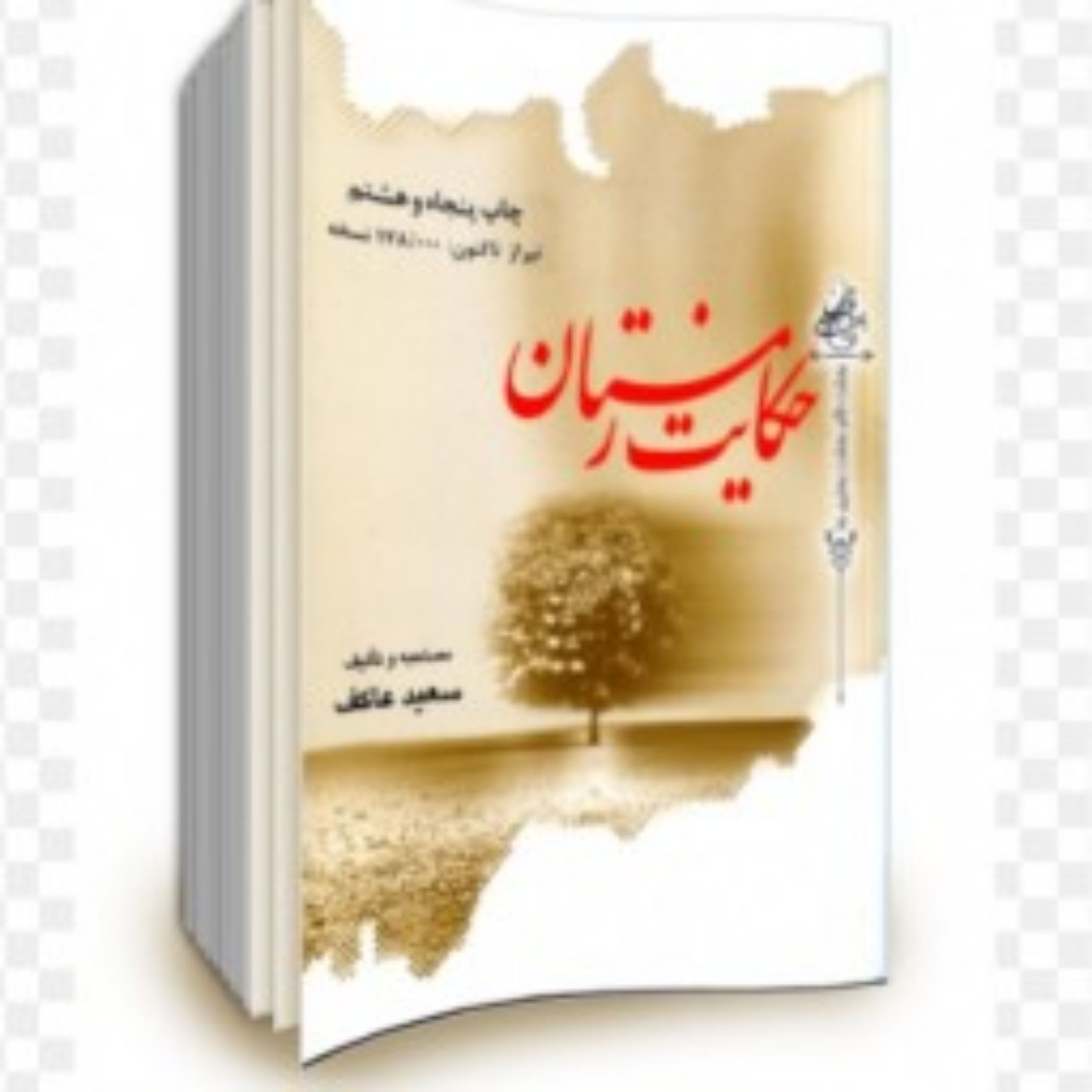کتاب رمان حکایت زمستان اثر سعید عاکف