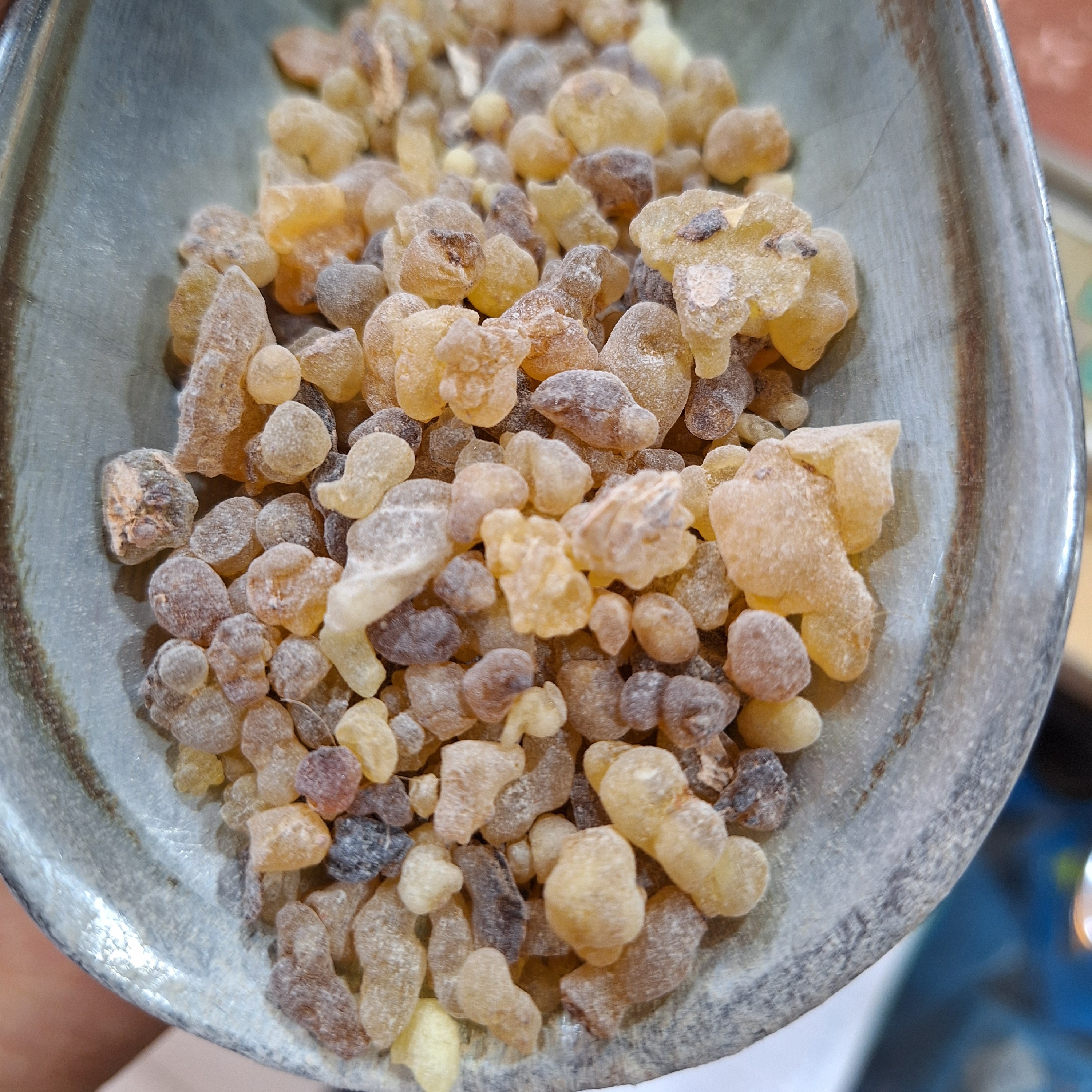 کندر خوراکی 50گرم
