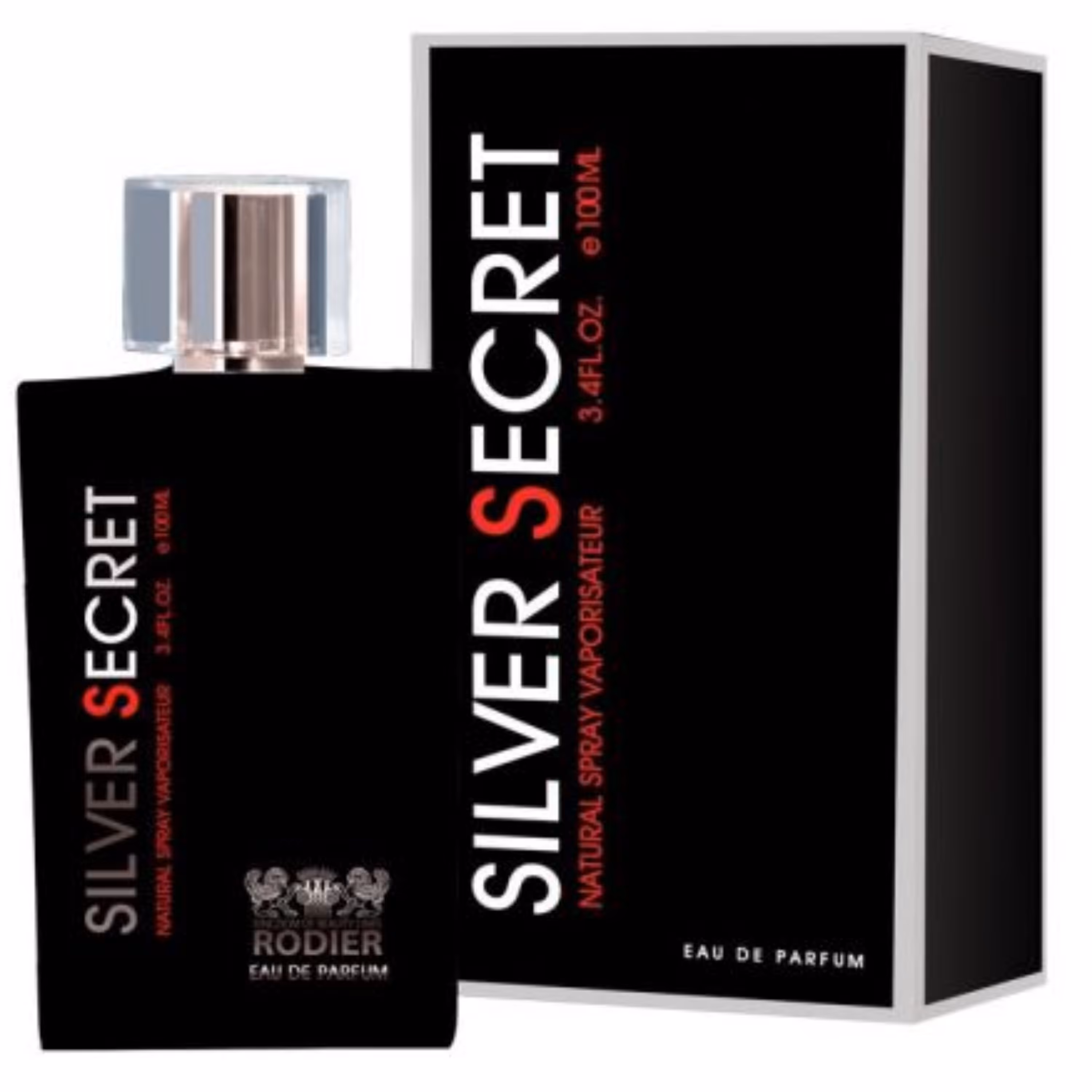 ادو پرفیوم مردانه رودیر مدل Silver Secret حجم 100 میلی لیتر