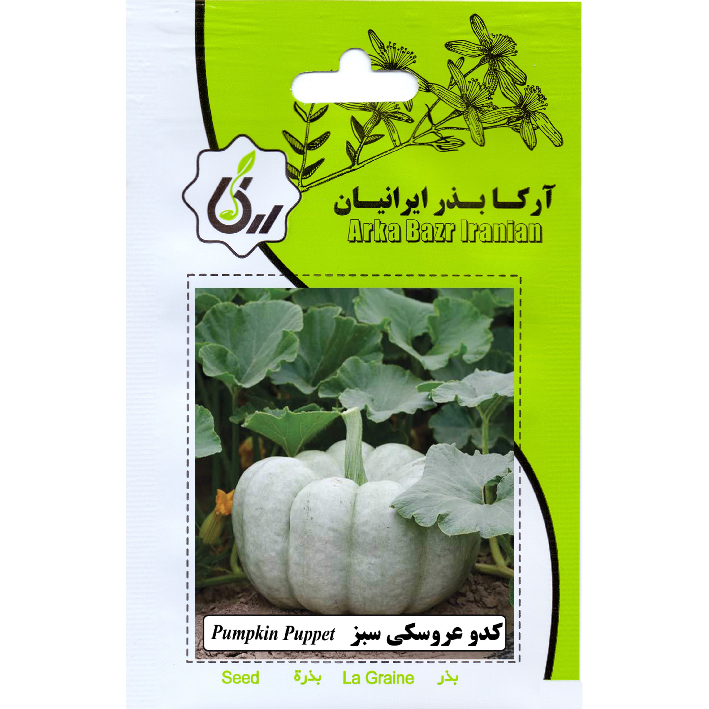کدو عروسکی سبز ارکا بذر ایرنیان