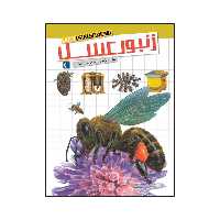 شگفتی های جهان - زنبور عسل