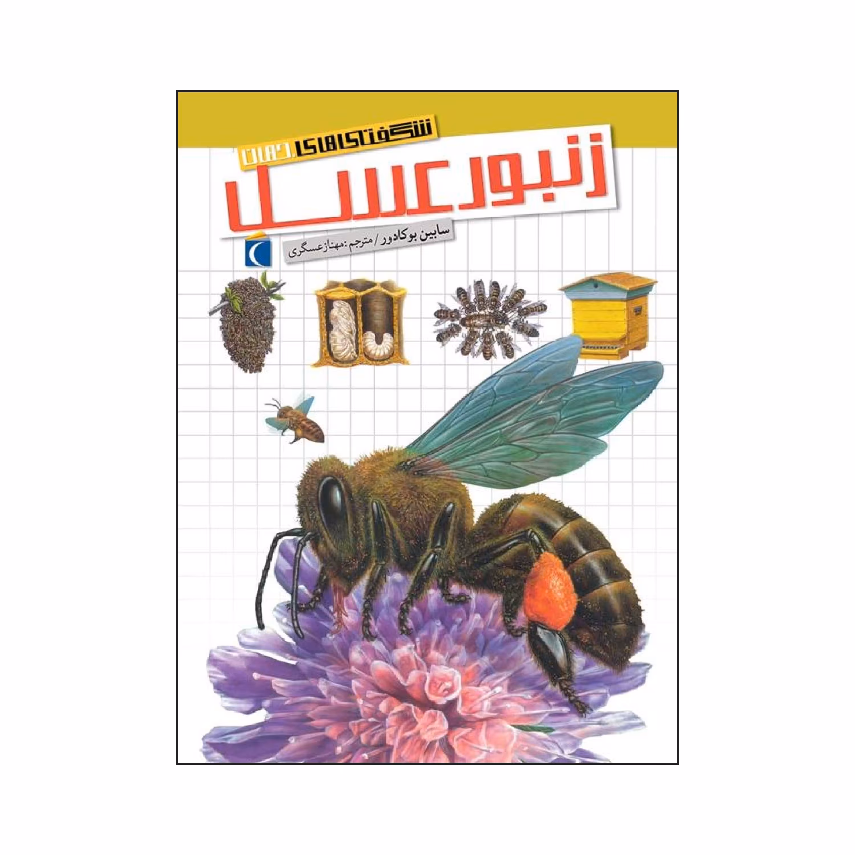 شگفتی های جهان - زنبور عسل