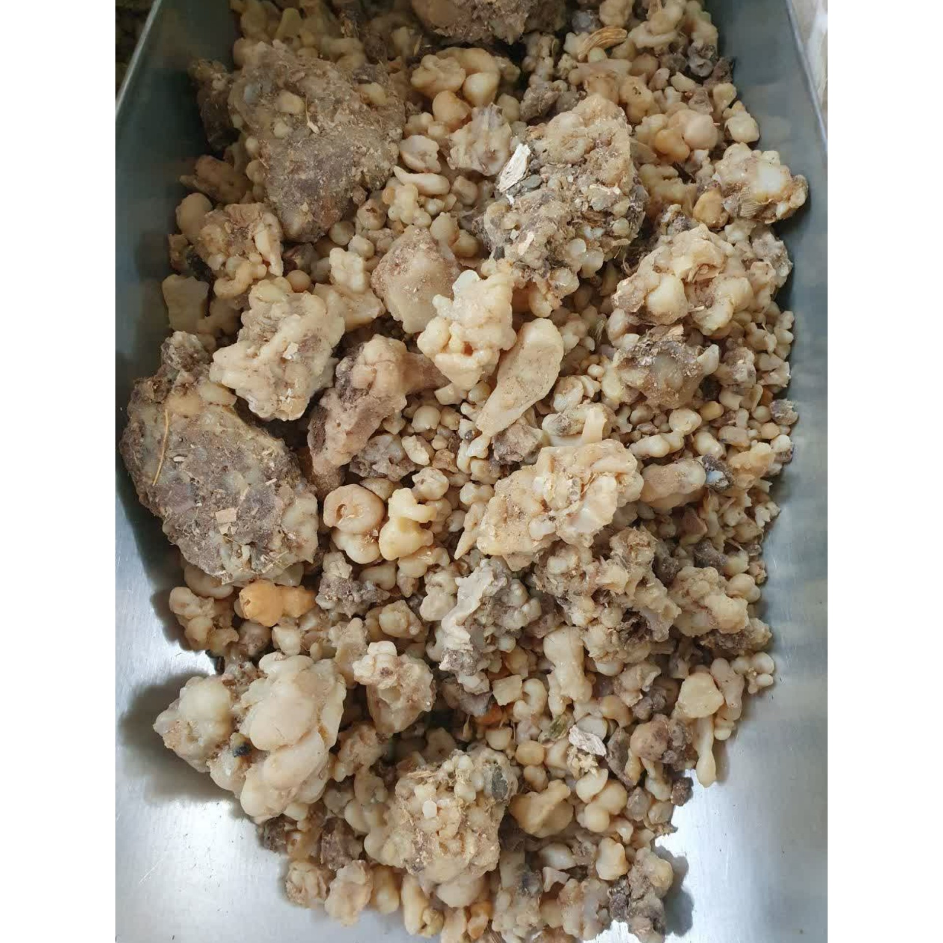 صمغ وشا ، اوشق 50 گرم