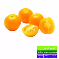 بذر گوجه گیلاسی زرد بذر طلایی رویان