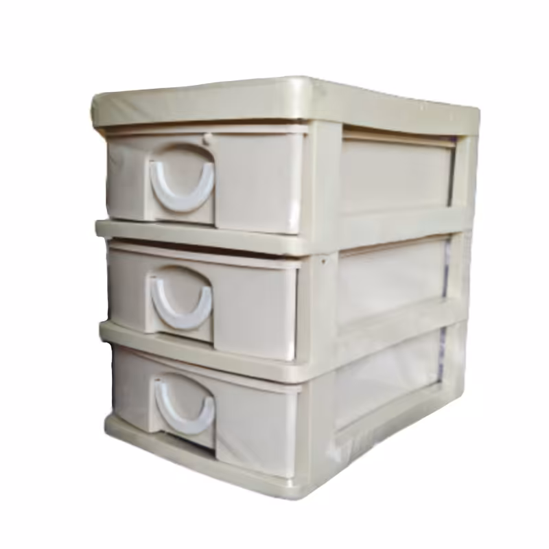 ارگانایزر مدل P2