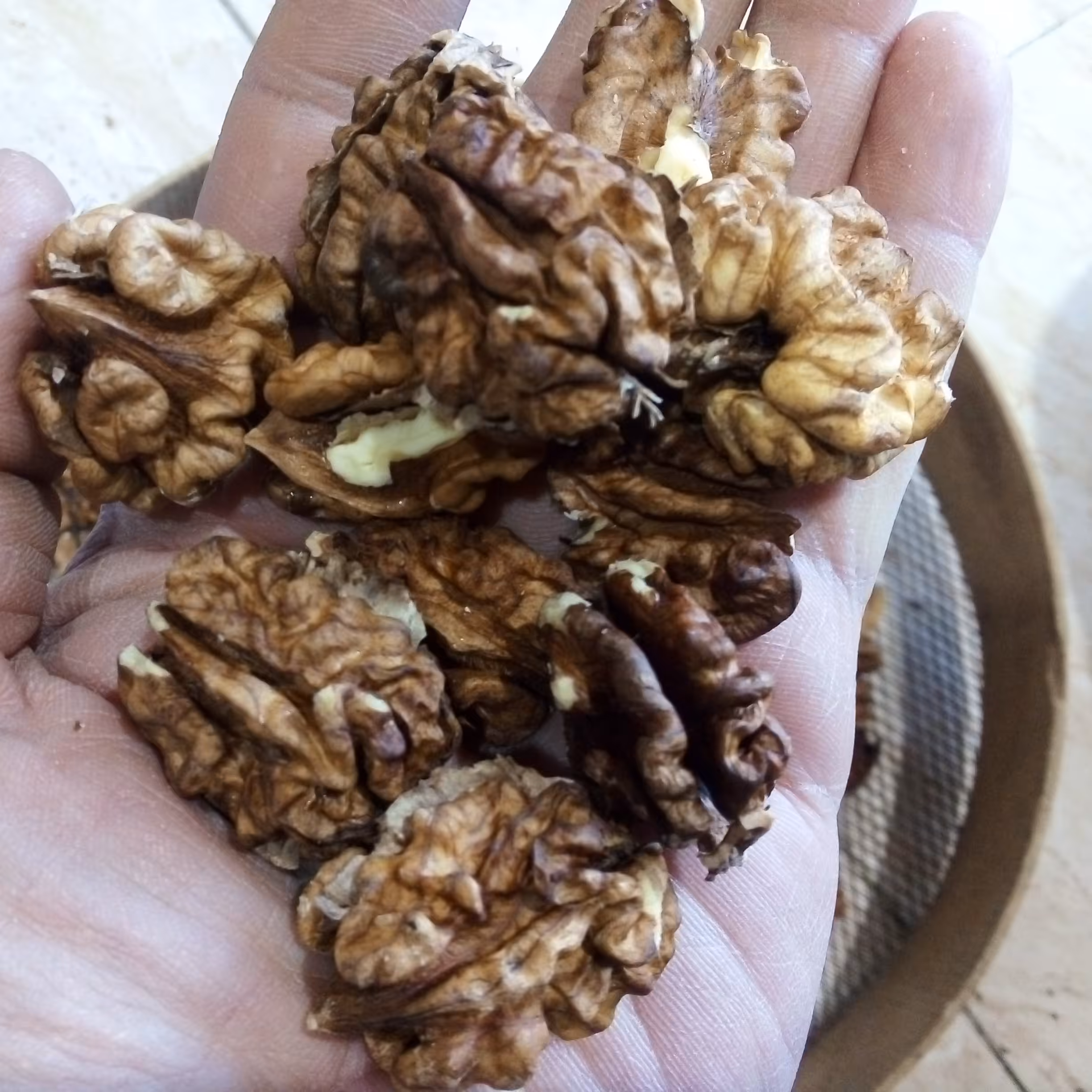 مغز گردو خورشتی 