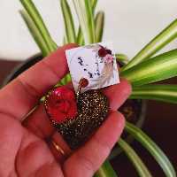 گیفت عروسی مدل حنابندان 1