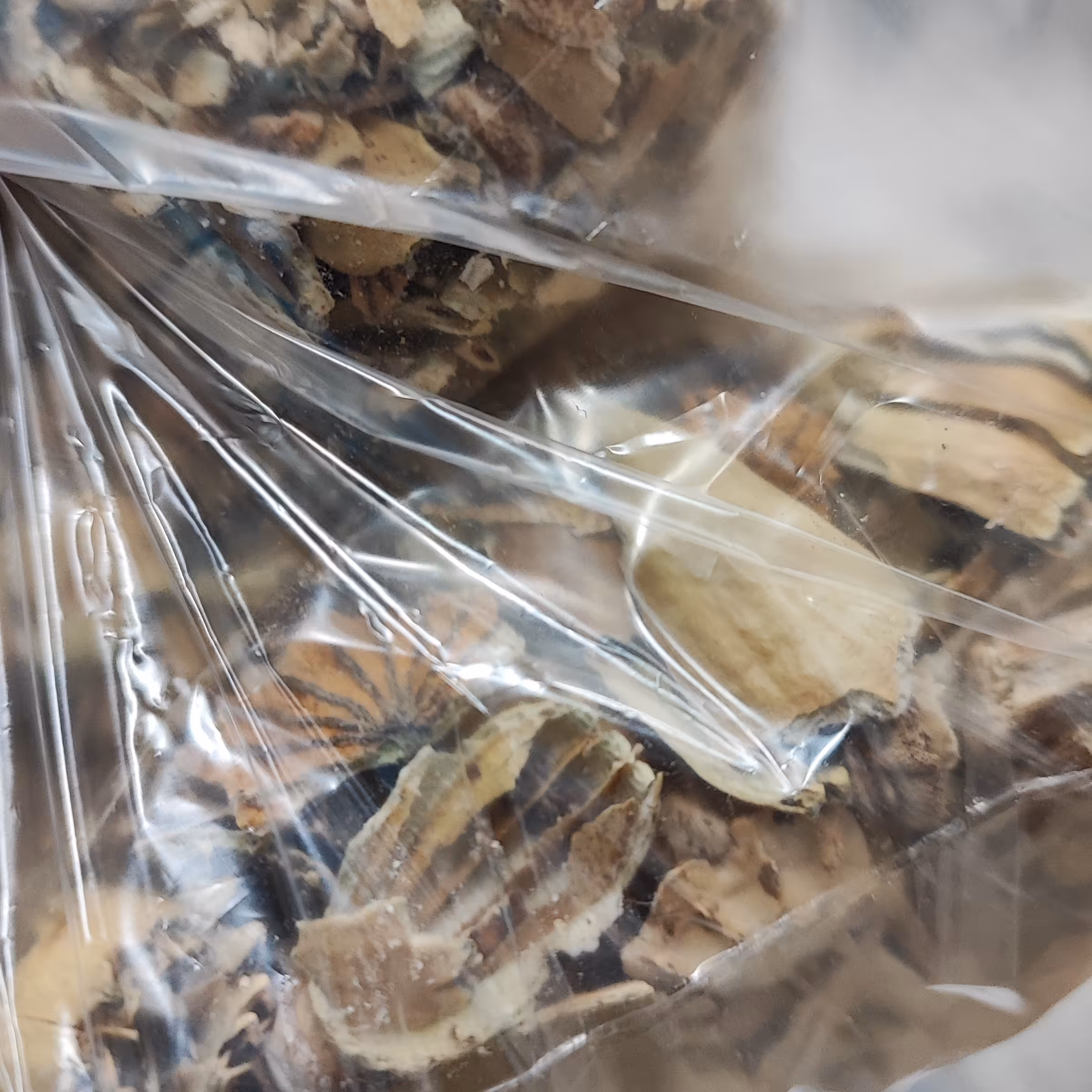 100 گرم پوست خشخاش اعلا 