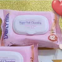 دستمال مرطوب دلفین 42