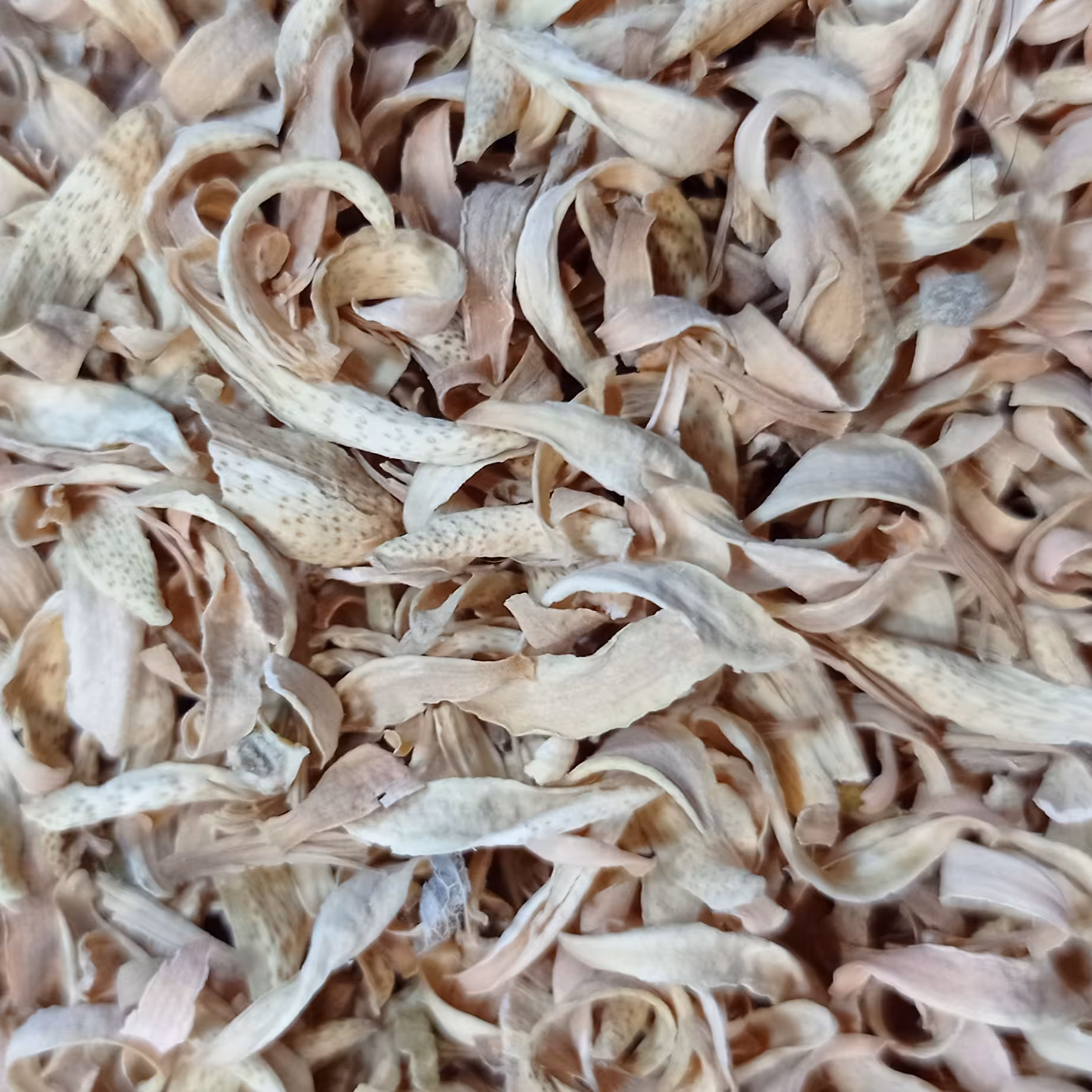 بهارنارنج با عطر فوق العاده 50 گرمی