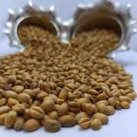 گندم بوداده 1کیلویی