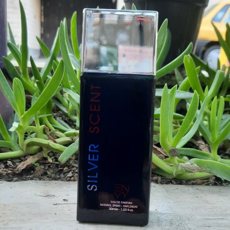 ادکلن SILVER SCENT(30میلی لیتری) مردانه