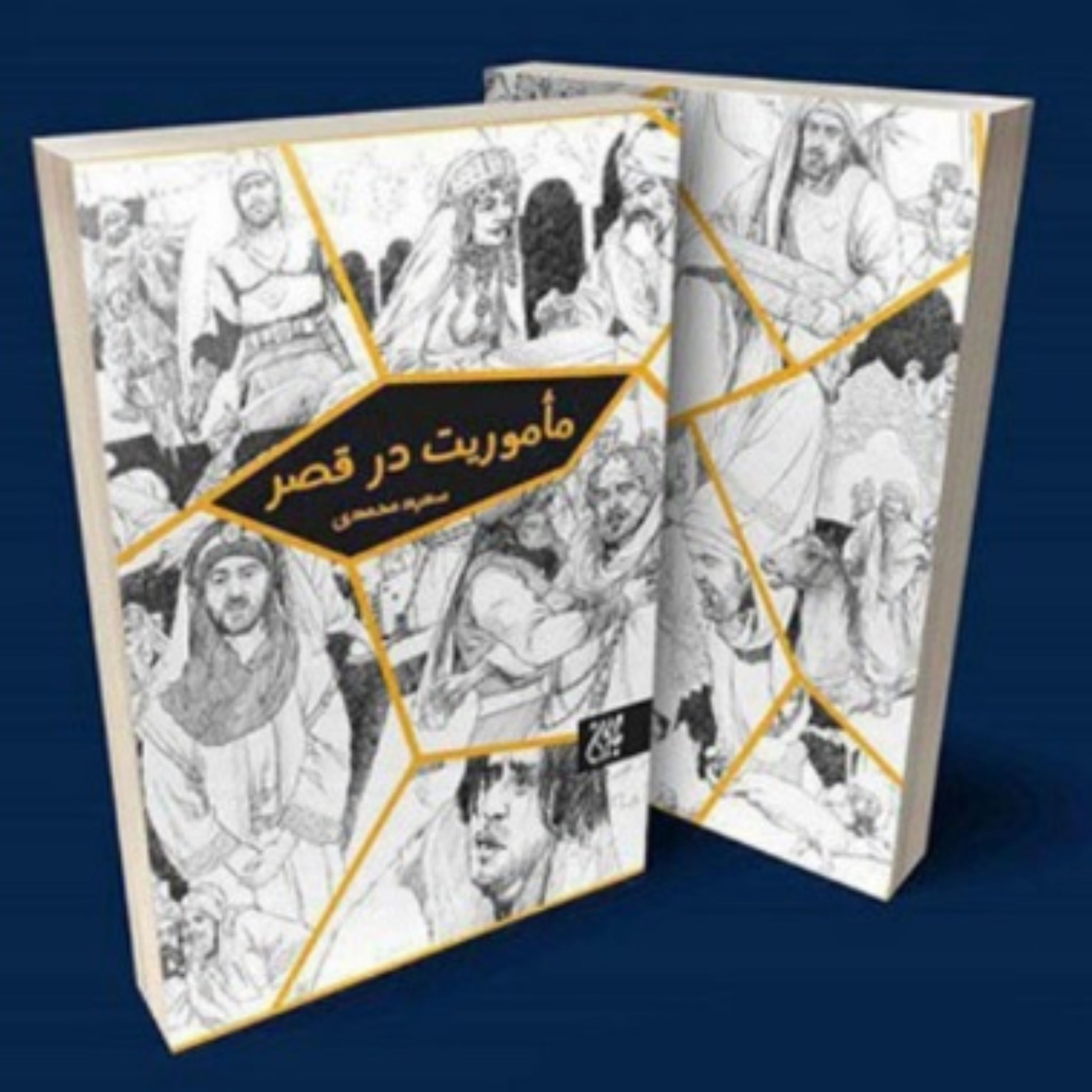 ماموریت در قصر