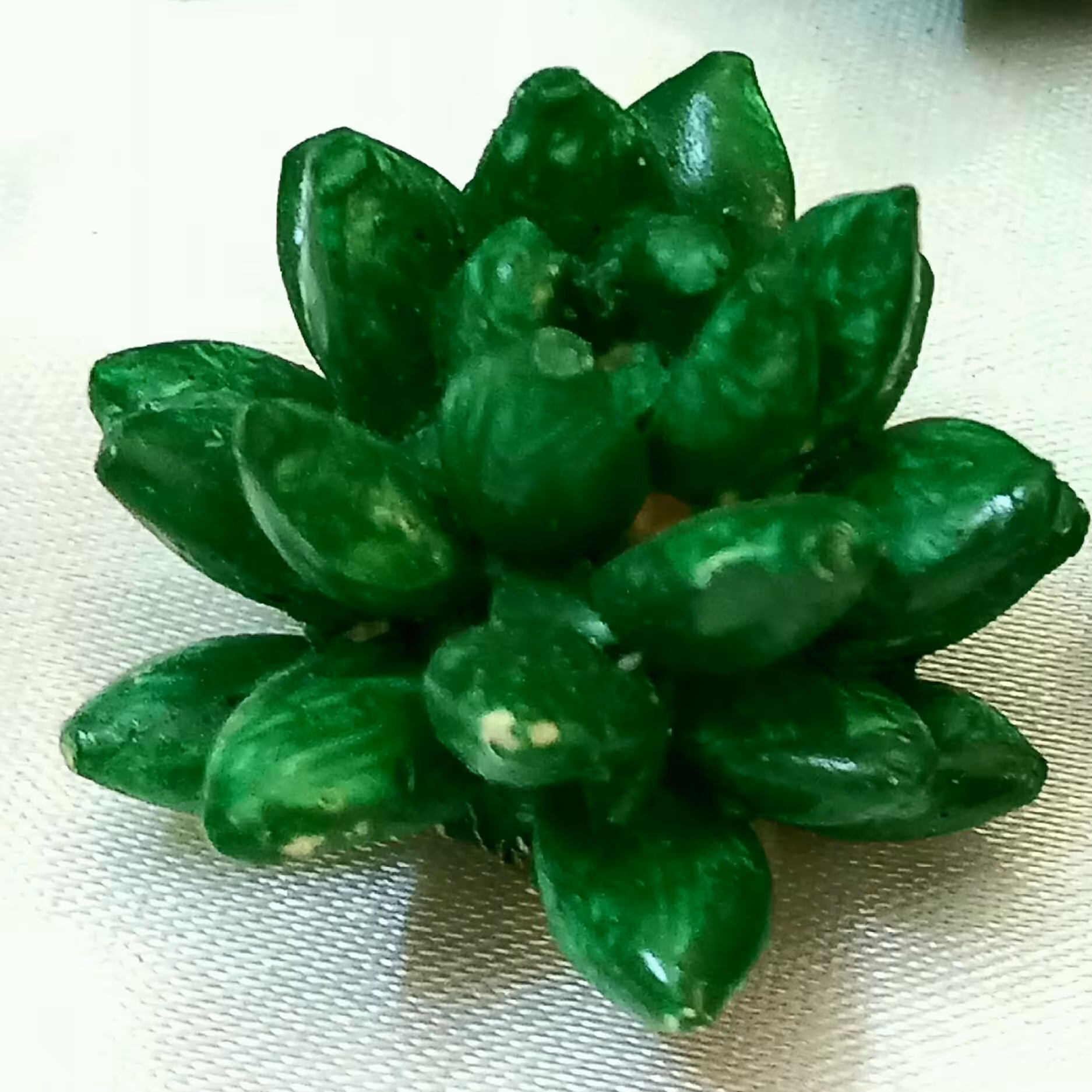 قالب سیلیکونی کاکتوس وارمری شماره 3