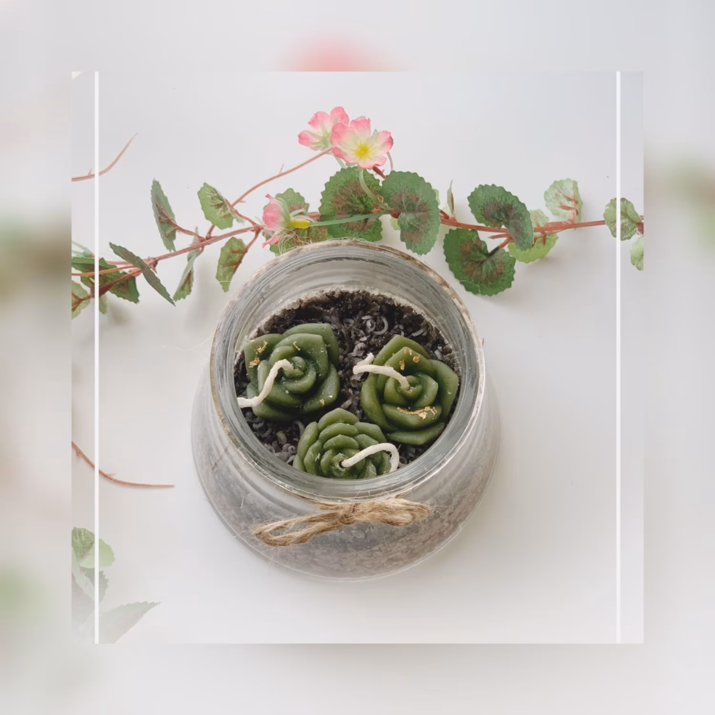 شمع تراریوم کاکتوسی 