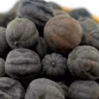 لیمو عمانی سیاه یک کیلویی عطاری دستانی 