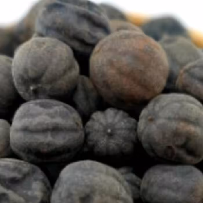 لیمو عمانی سیاه یک کیلویی عطاری دستانی 