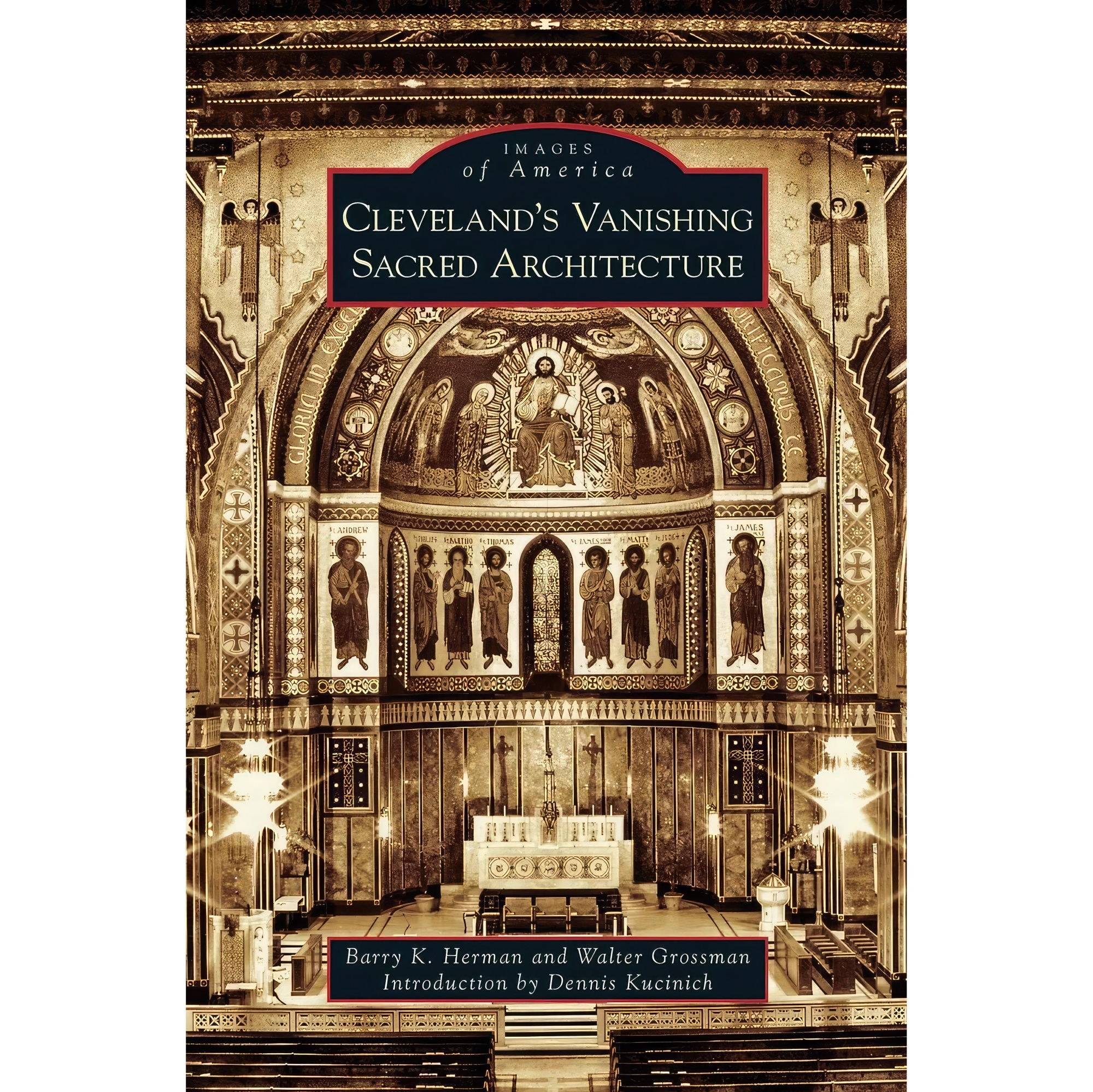 کتاب زبان اصلی Clevelands Vanishing Sacred Architecture