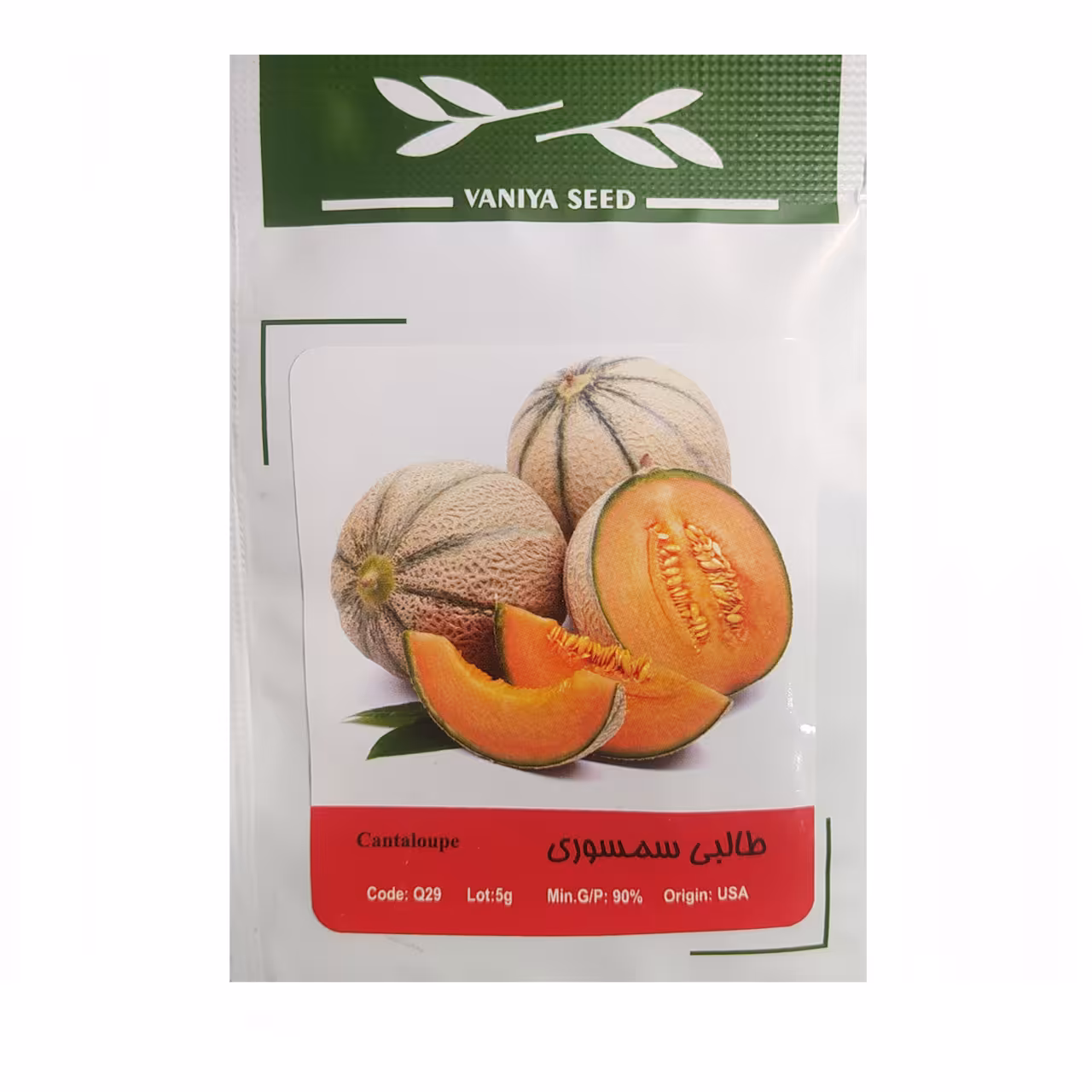 بذر طالبی سمسوری