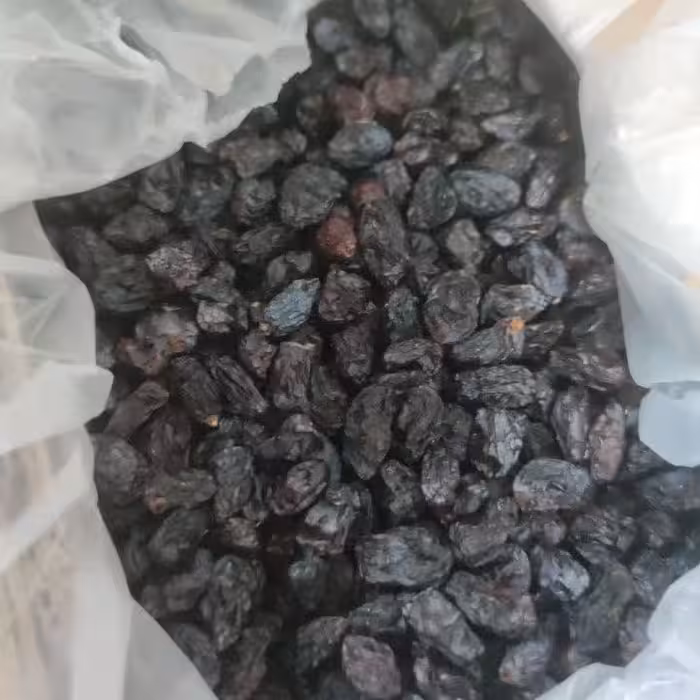 مویز گوشتی شاهانه سایز درشت در بسته های نیم کیلویی