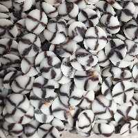 شکلات چیپسی دورنگ