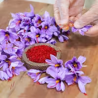 زعفران نگین طرح خاتم برند آریسا ارسال رایگان(4 گرمی)