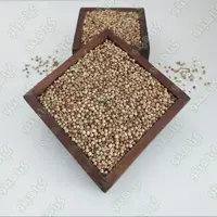 تخم گشنیز توپی یک کیلویی گیاهینو