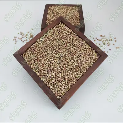 تخم گشنیز توپی یک کیلویی گیاهینو