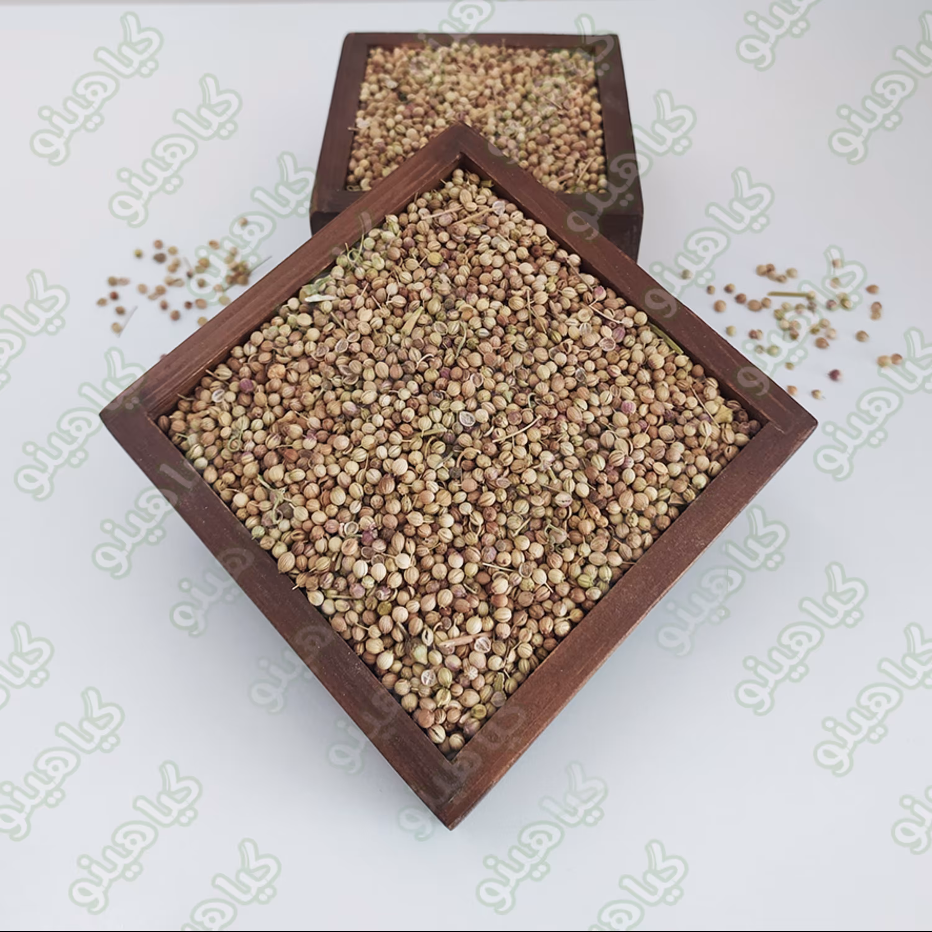 تخم گشنیز توپی یک کیلویی گیاهینو