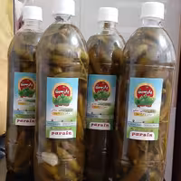 خیارشور ممتاز خانگی پت