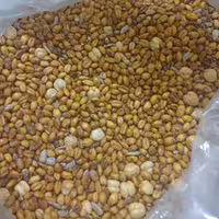 اجیل گندم و نخود و ...