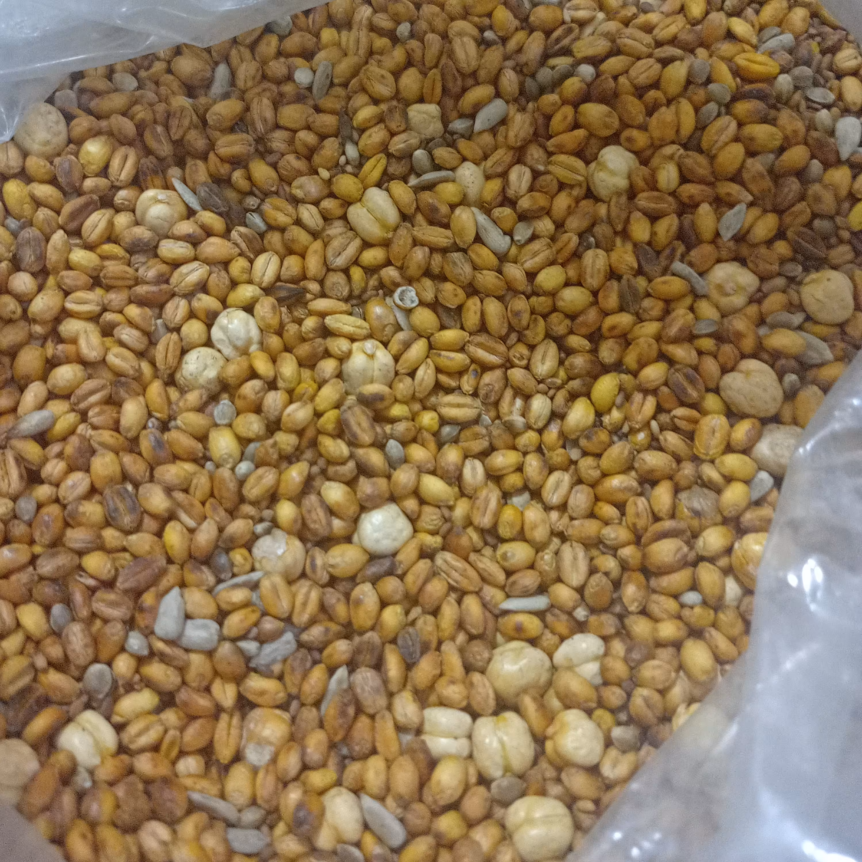 اجیل گندم و نخود و ...