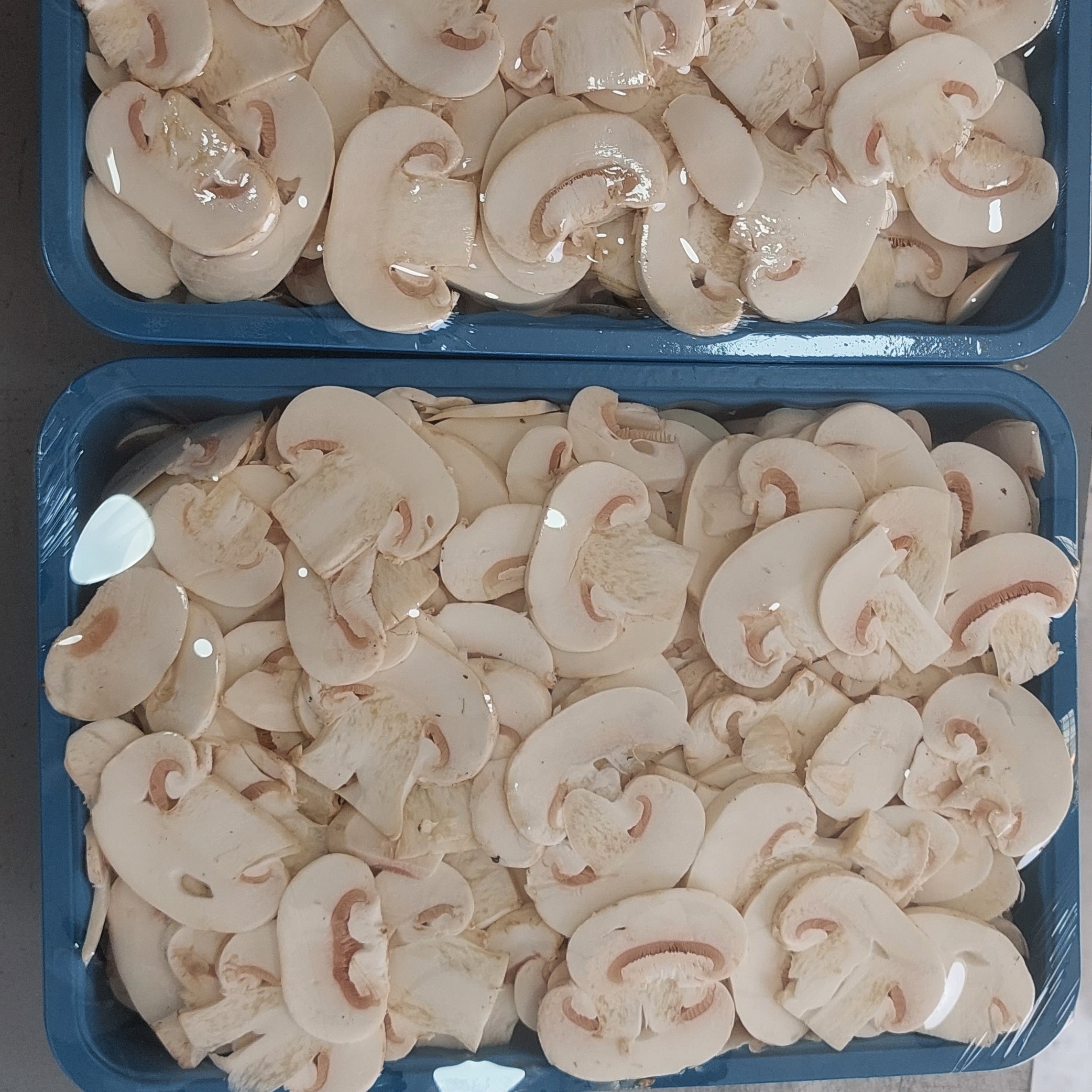 قارچ دکمه ای اسلایس شده 1000 گرمی سفید و تازه