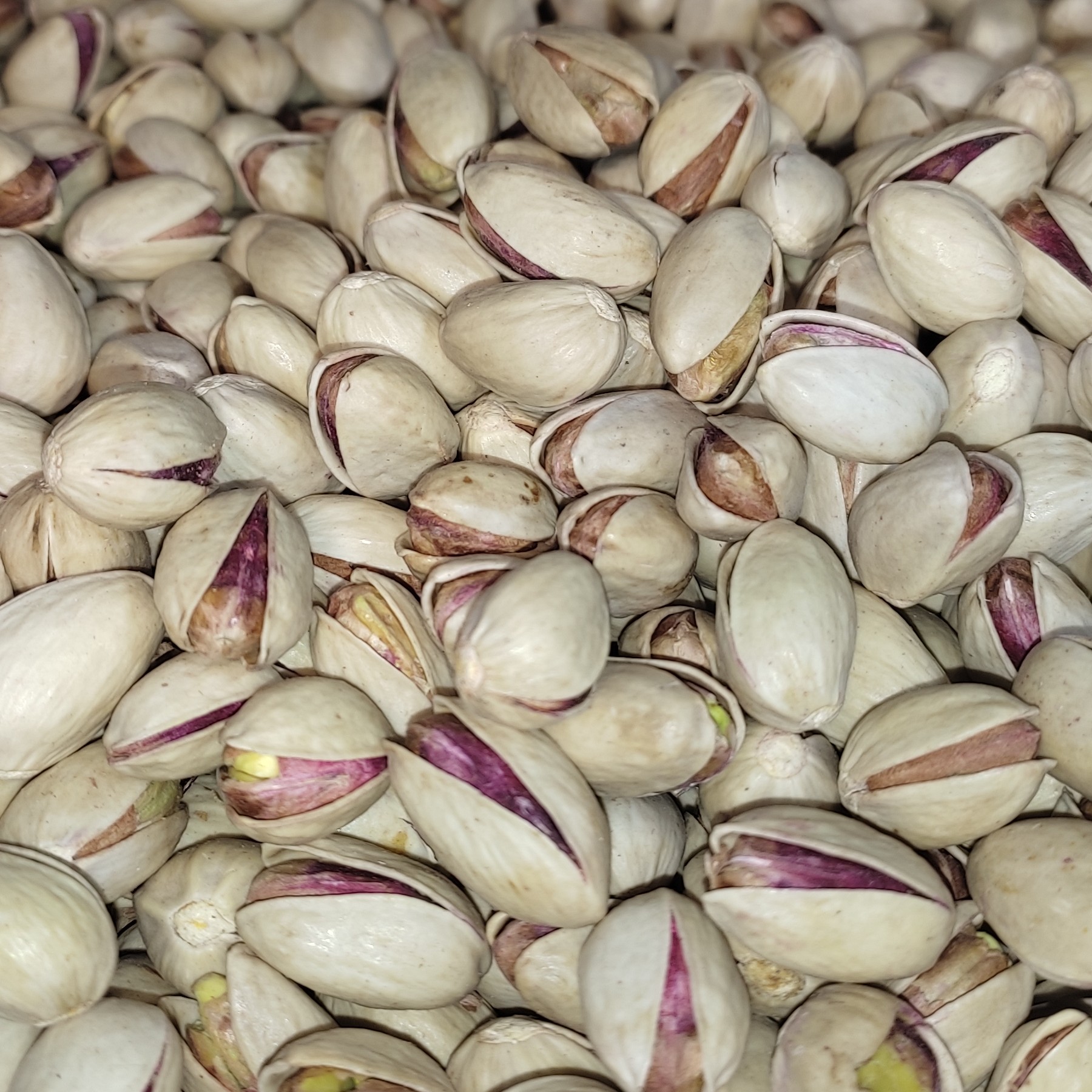 پسته شور درشت درجه یک تازه و خوشمزه